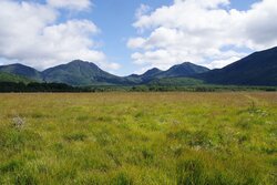 【9/21】戦場ヶ原　自然情報・歩道状況