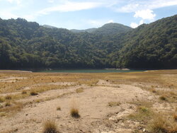 【9/24】千手の森歩道　自然情報・歩道状況