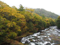 竜頭ノ滝（滝上）の写真