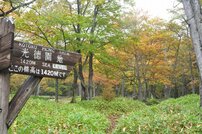 20251011（光徳園地）