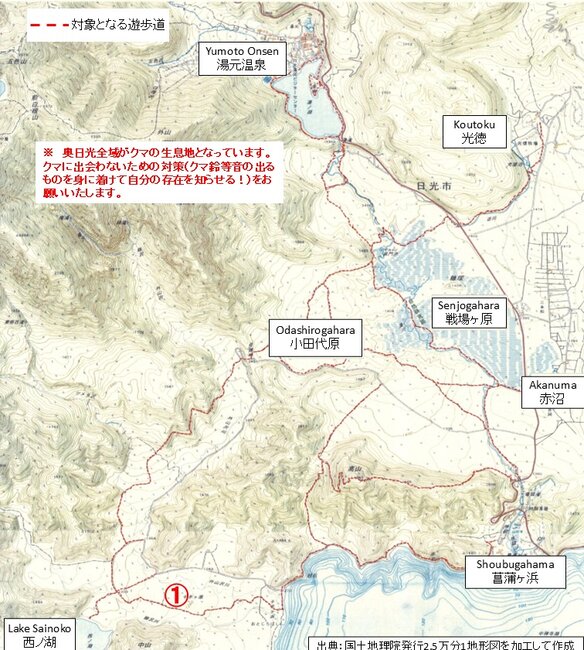 クマ目撃マップ