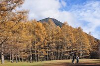 戦場ヶ原の写真