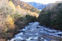 竜頭ノ滝（滝上）の写真