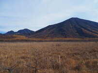 戦場ヶ原の写真