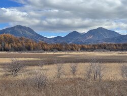 2025 奥日光紅葉情報