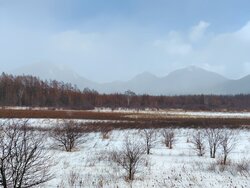 【1/6】小田代原　歩道状況