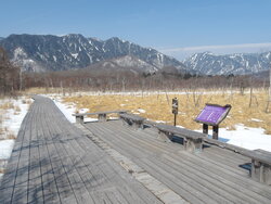 【2/16】戦場ヶ原　自然情報・歩道状況