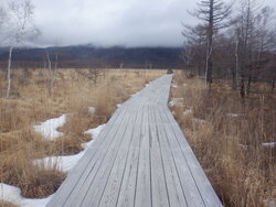 【2/26】戦場ヶ原　歩道状況