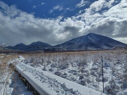 【3/4】戦場ヶ原・小滝・迂回路　自然情報・歩道状況