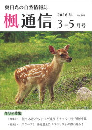 楓通信164号　　　　　似てるけどちょっと違う！そっくり生き物特集