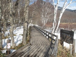 【3/23】小田代原　歩道状況