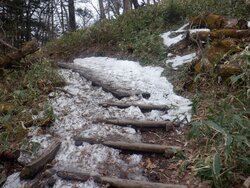 【4/4】戦場ヶ原　歩道状況