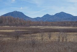 【4/5】小田代原　歩道状況