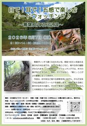 ～青葉映える刈込湖～目で！耳で！五感で楽しむバードウォッチング♪