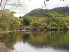 【10/5】湯ノ湖　歩道状況・自然情報