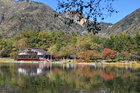 2026 奥日光紅葉情報