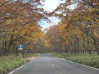 その他（奥日光周辺）の写真