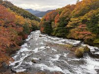竜頭ノ滝（滝上）の写真