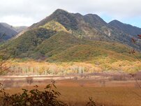小田代原の写真