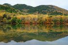 2026 奥日光紅葉情報