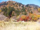 2026 奥日光紅葉情報