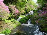 Ryuzu Falls (in spring)