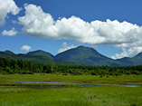 小田代原（夏）の画像