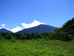 平成26年の小田代原